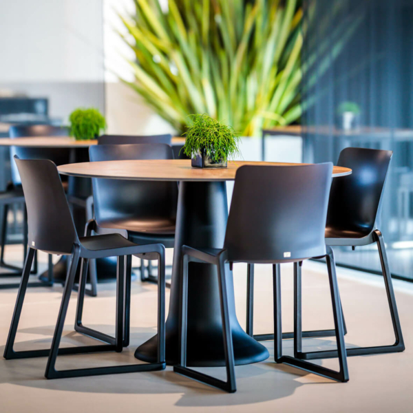 Kosa Dinner – Bild 5